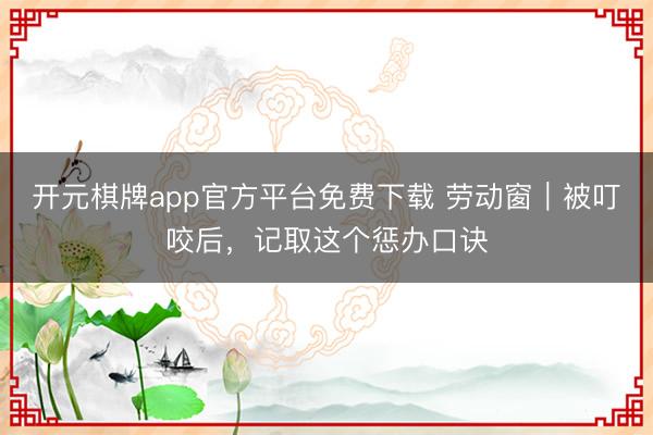 开元棋牌app官方平台免费下载 劳动窗|被叮咬后,记取这个惩办口诀