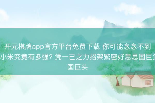 开元棋牌app官方平台免费下载 你可能念念不到， 小米究竟有多强? 凭一己之力招架繁密好意思国巨头